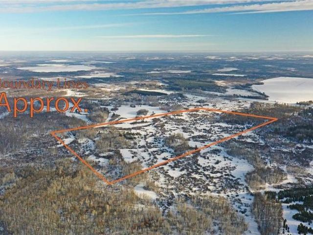 Land for sale in Todd, Minnesota