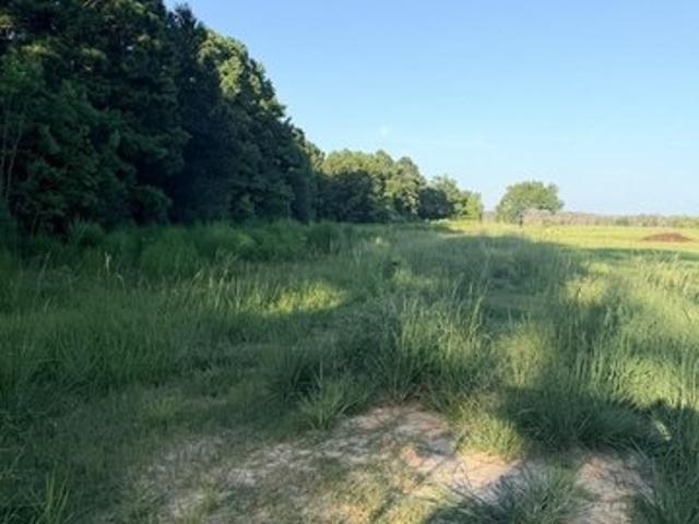 Land for sale in Jasper, Texas