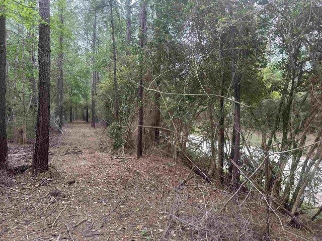 Land for sale in Jasper, Texas