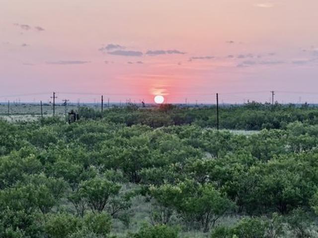 Land for sale in Snyder, Texas