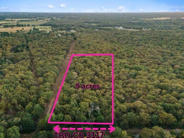 Land for sale in Edgewood, Texas