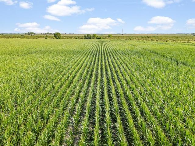 Land for sale in Wharton, Texas
