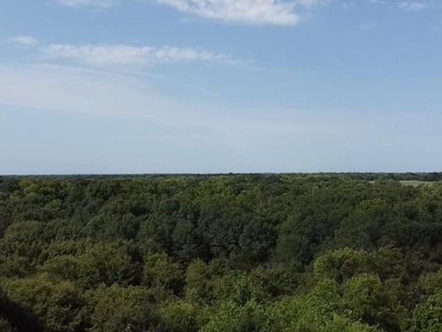 Land for sale in Terrell, Texas
