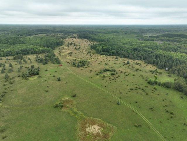Land for sale in Northome, Minnesota