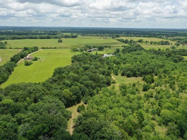 Land for sale in Wills Point, Texas
