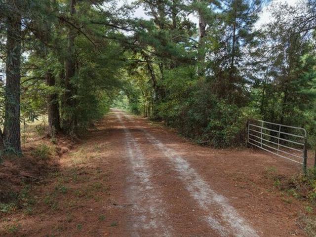 Land for sale in Texas