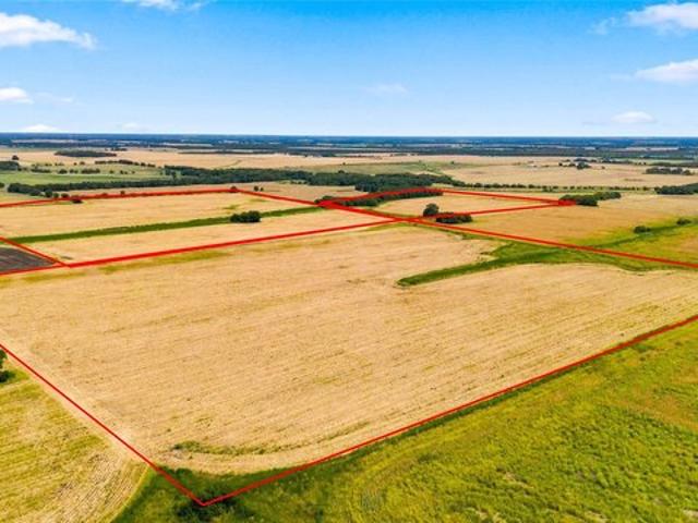 Land for sale in Delta, Texas