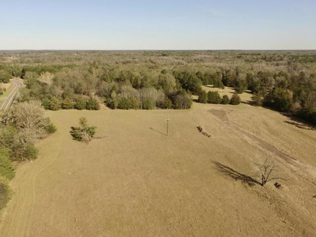 Land for sale in Leesburg, Camp County