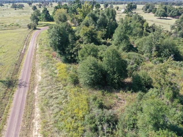 Land for sale in Jewett, Leon County