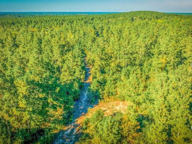 Land for sale in Mount Enterprise, Texas
