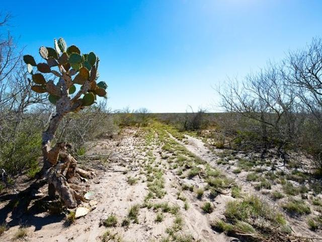 Farm for sale in Freer, Texas