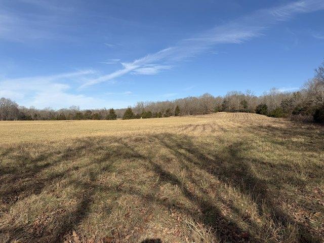 Land for sale in Koshkonong, Missouri