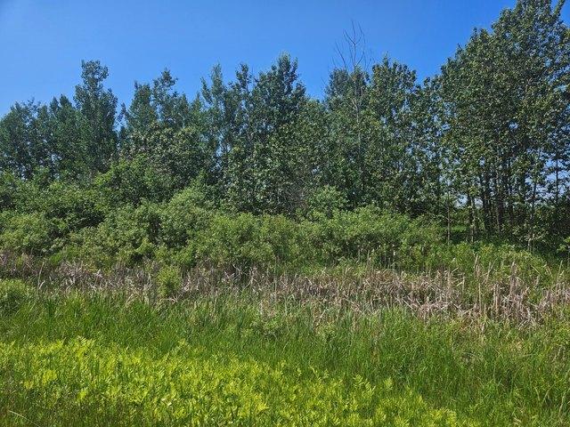 Land for sale in Aitkin, Minnesota