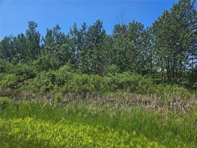 Land for sale in Aitkin, Minnesota