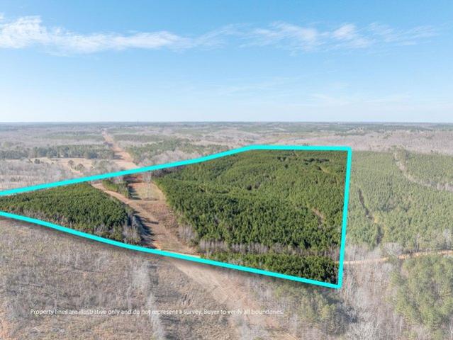 Farm for sale in Hodges, Alabama