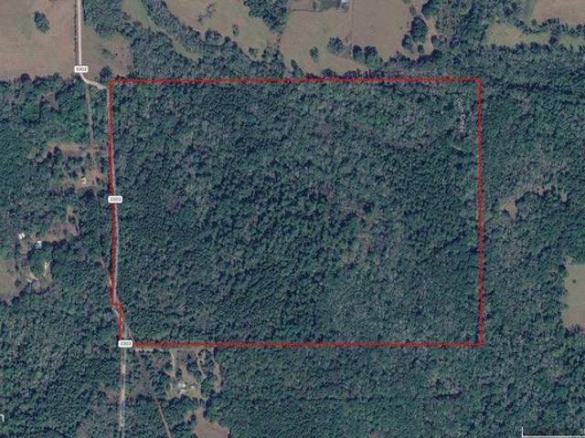 Land for sale in Jacksonville, Texas