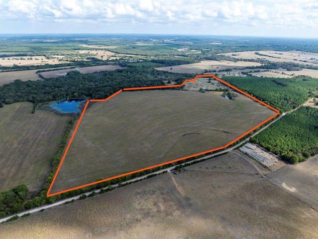 Land for sale in Avery, Red River County