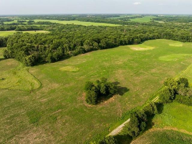 Land for sale in Hale, Missouri