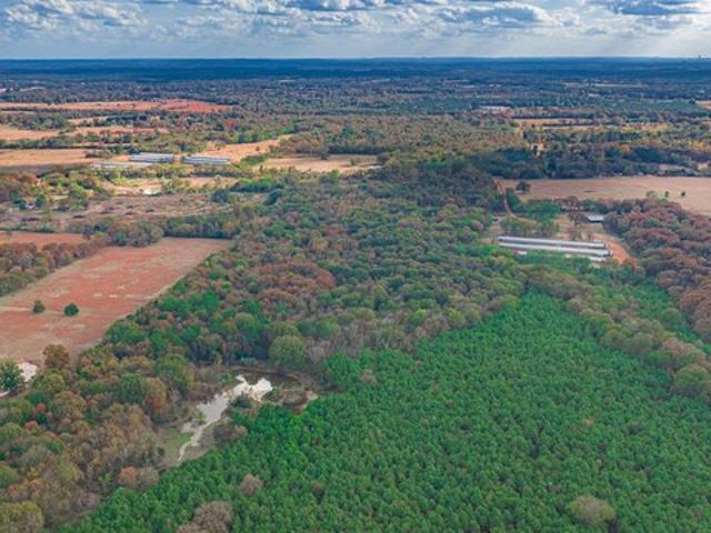 Land for sale in Morris, Texas