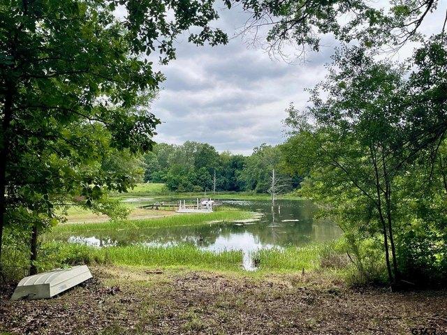 Land for sale in Morris, Texas