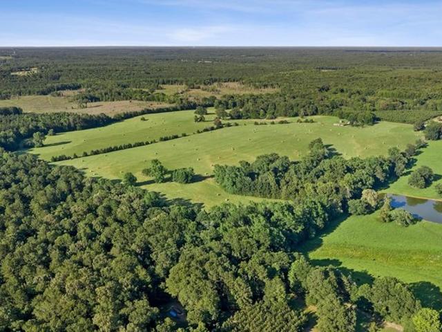 Land for sale in Atlanta, Texas