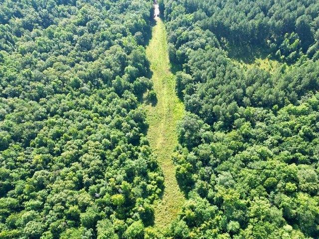 Land for sale in Brundidge, Alabama