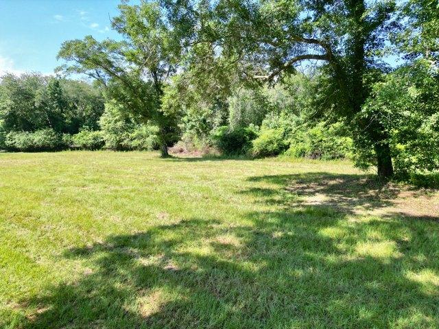 Land for sale in Brundidge, Pike County