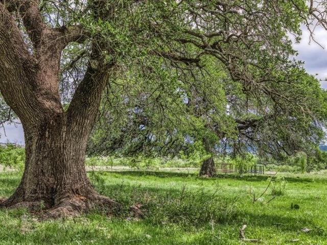 Farm for sale in Goldthwaite, Mills County