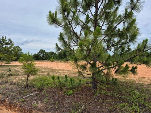 Land for sale in Plantersville, Dallas County