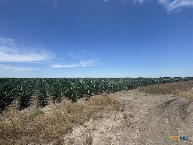 Land for sale in Wharton, Texas