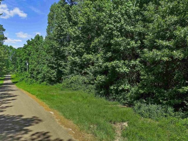 Land for sale in Panola, Texas