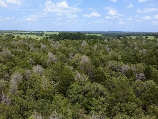 Land for sale in Lexington, Texas