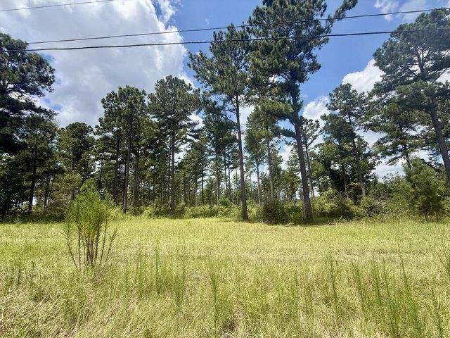 Land for sale in Ashford, Alabama
