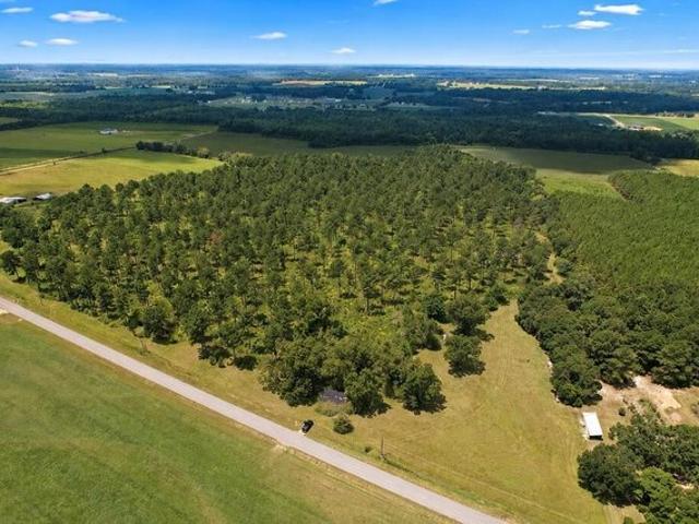 Land for sale in Ashford, Alabama