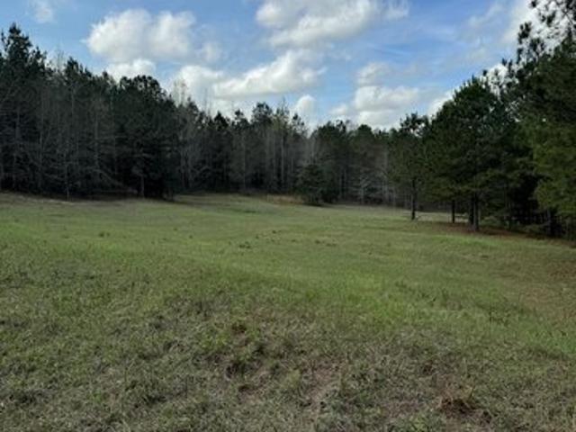 Land for sale in Louisville, Alabama
