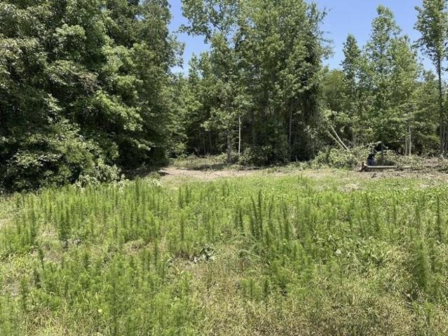 Farm for sale in Marion, Texas