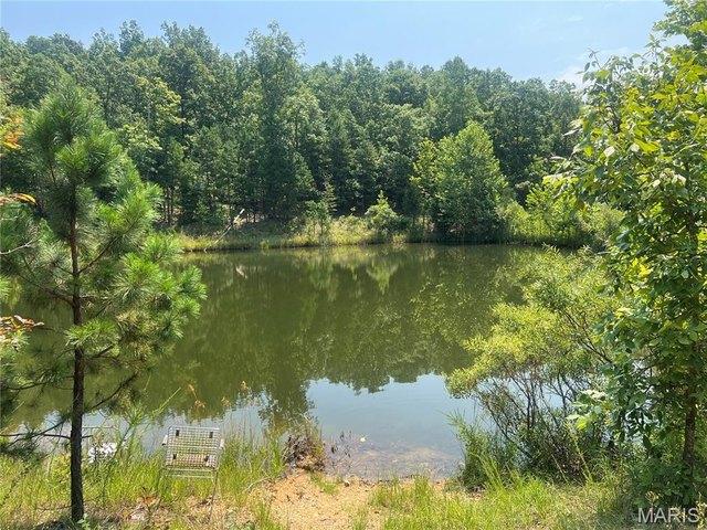 Land for sale in Beckville, Piedmont