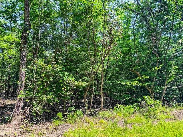Land for sale in Marion, Texas
