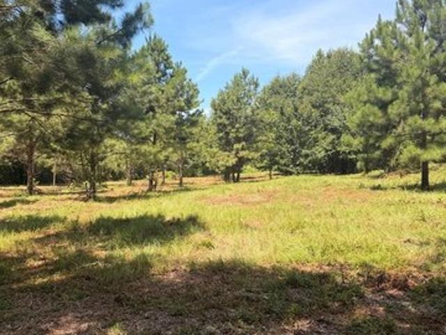 Land for sale in Atlanta, Texas