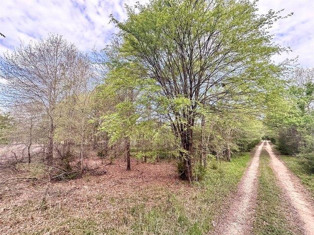 Land for sale in Henderson, Texas