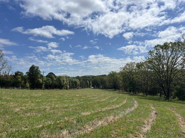 Land for sale in Drury, Missouri