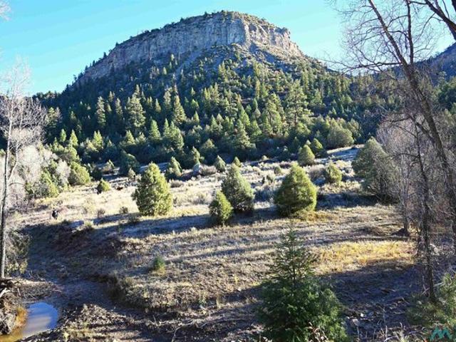 Farm for sale in Chama, New Mexico
