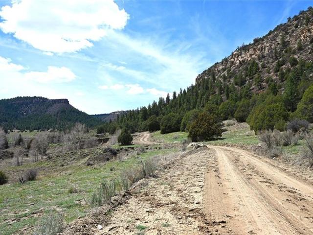 Land for sale in New Mexico