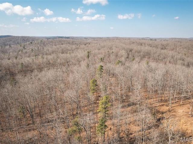 Farm for sale in Piedmont, Missouri
