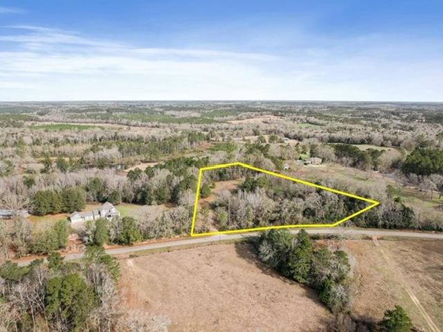 Land for sale in Elba, Alabama