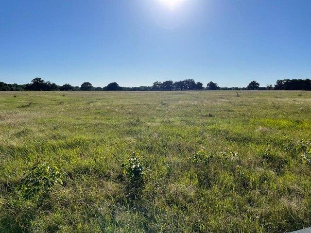 Land for sale in Sulphur Bluff, Texas