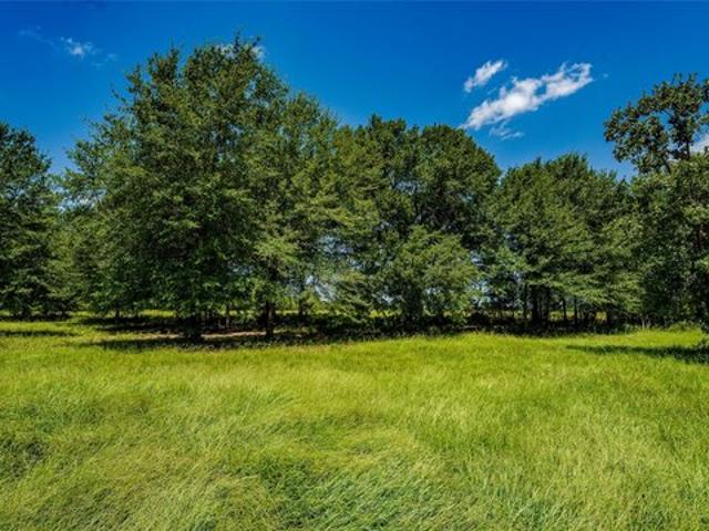 Land for sale in Milam, Texas