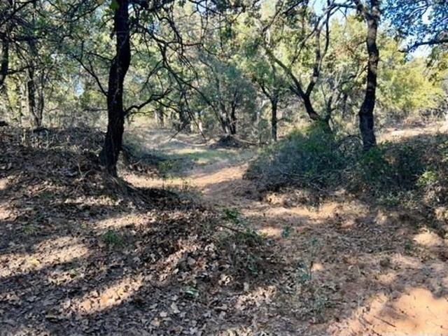 Land for sale in Gorman, Texas