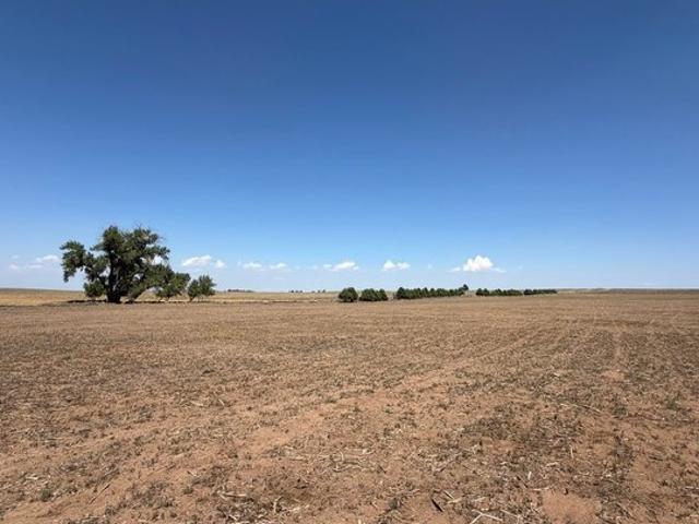 Land for sale in Platteville, Colorado