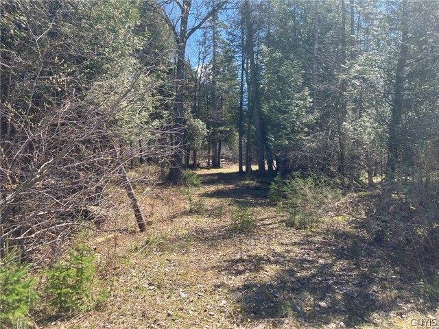 Land for sale in Madrid, New York